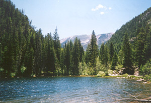 Lizard Lake