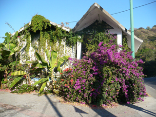 along the road