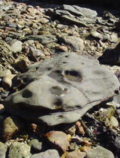 along playa coral