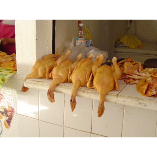 chickens