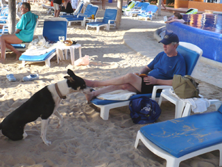 beach dog with John