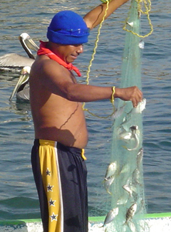 net of fish