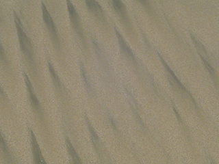 sand patterns
