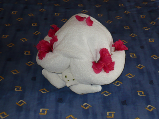 towel turtle