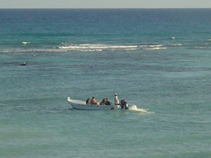 Off to dive