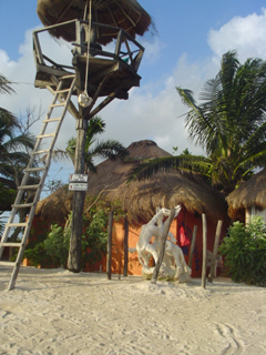 treehouse