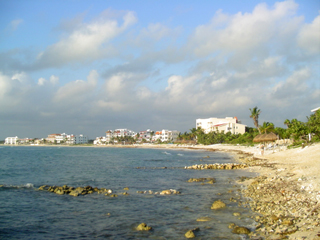 Along the beach