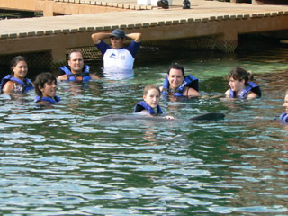 Kethra petting a dolphin