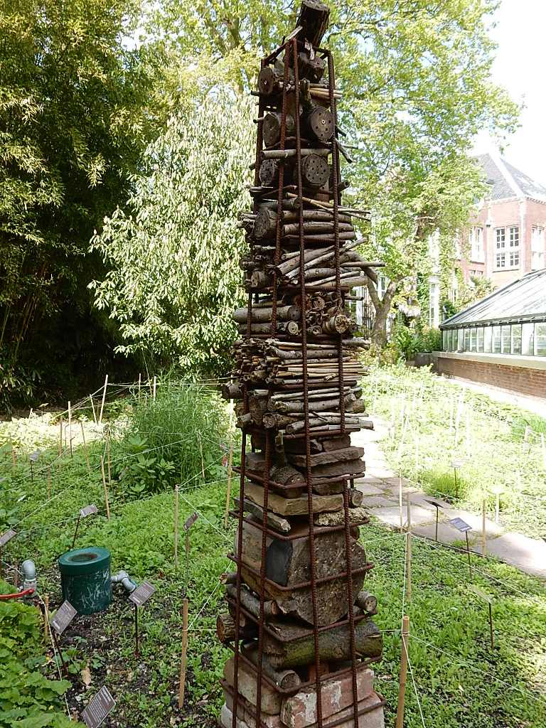 insect house