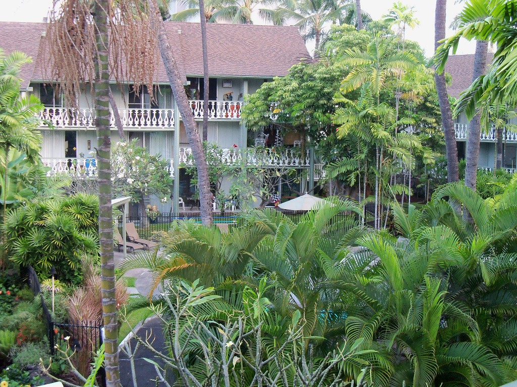 View from balcony
