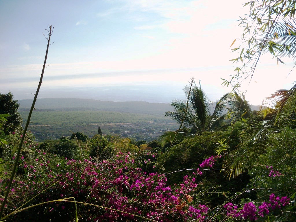 view from lanai