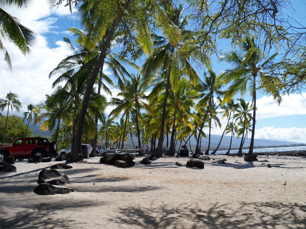 picnic area