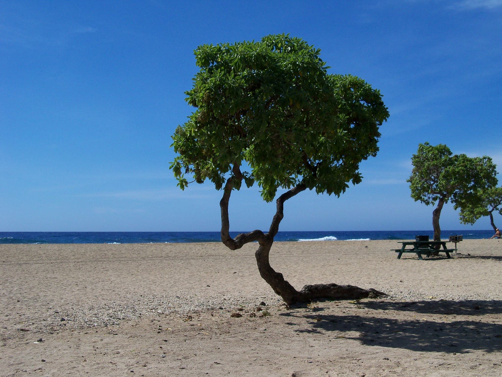 Old Airport Beach