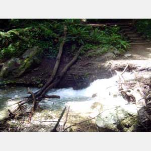 trail ends at creek