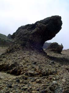 rocks
