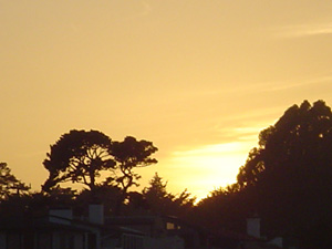 sunset
