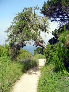 trail