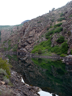 along the trail