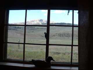 view from living room