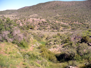 dead horse trail