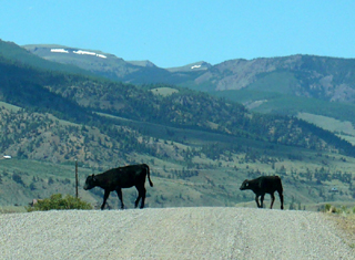 open range