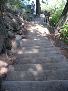 the stairs