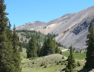 Near Allen's Crossing