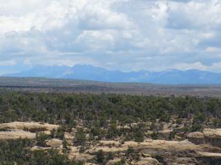 Wetherill mesa environment