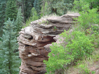 along the trail