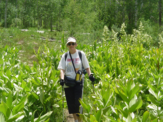 Barb in corn lilies