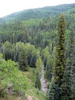 creekfrom above