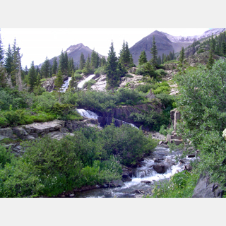 Coors logo falls