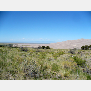 desert and dune