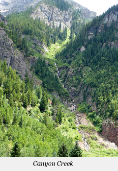 Canyon Creek in basin