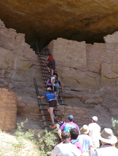 Long House ladders