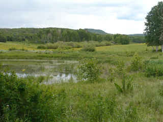 Mavreeso trail pond