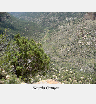 Navajo canyon