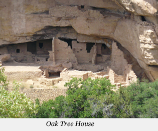 Oak Tree House