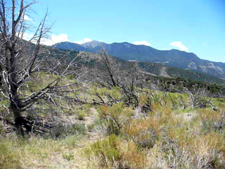 along view along trail