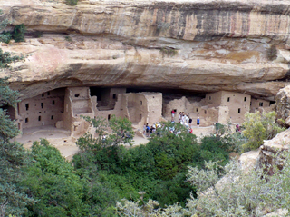Spruce Tree House