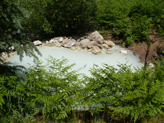 the geyser