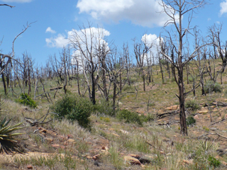 Wetherill fire damage