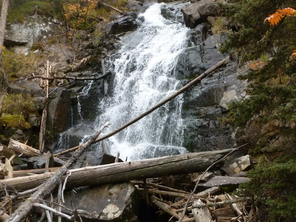 Fern Falls