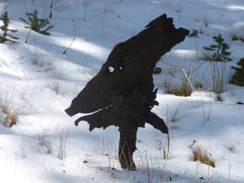 snow ornamentation