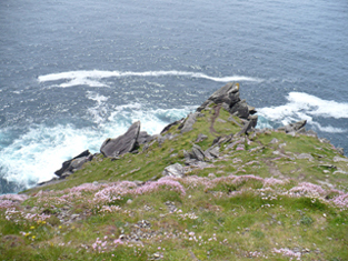 down cliff