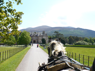 Muckross approach