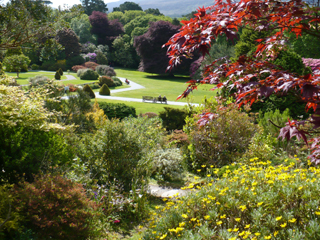 garden