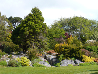 rock garden
