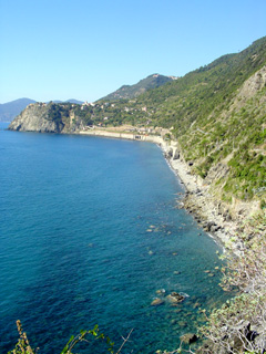 along the trail