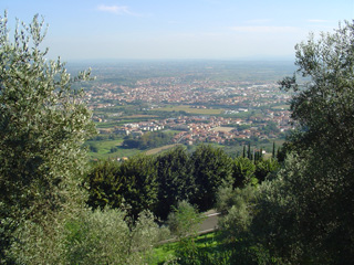 view